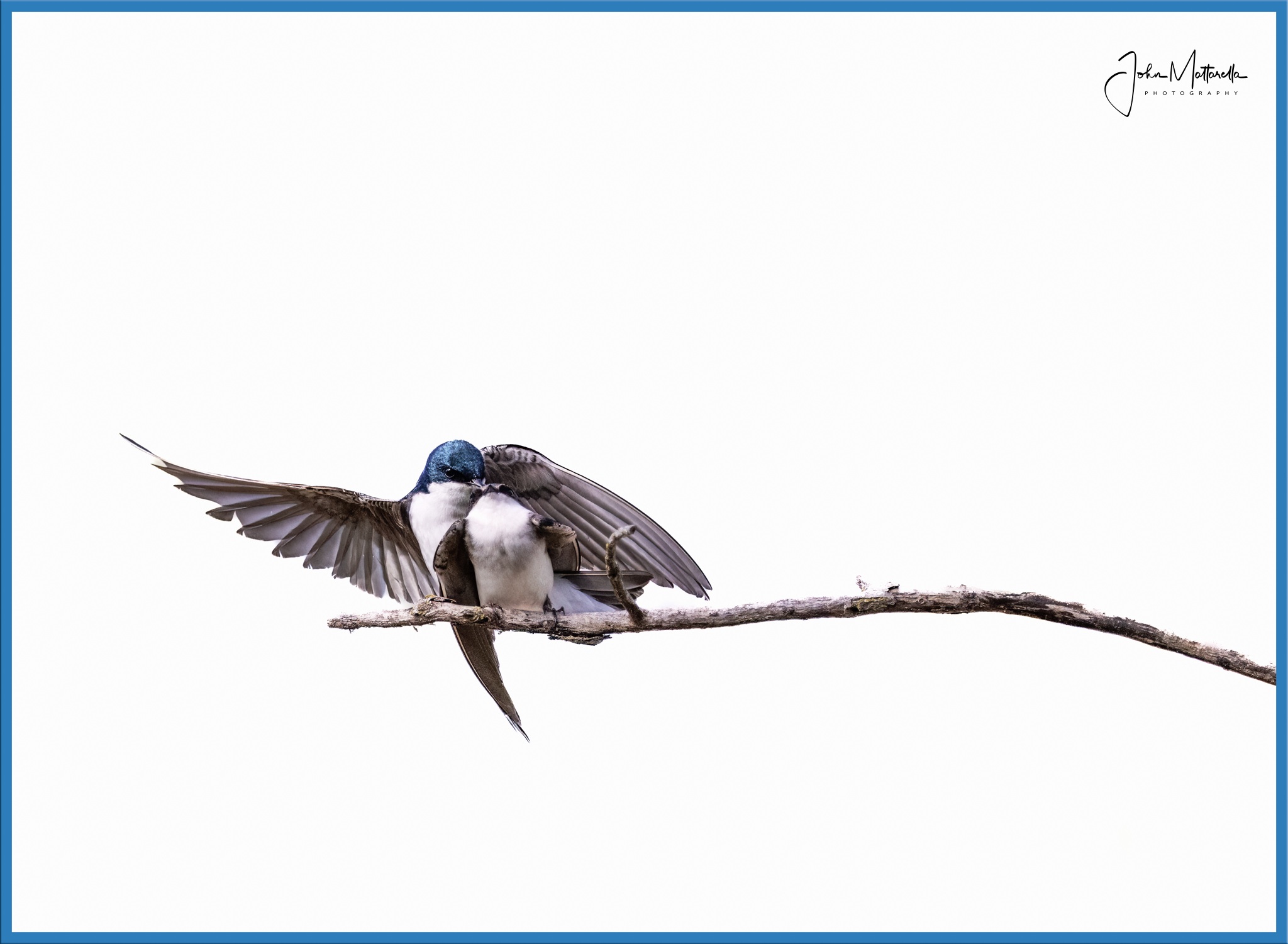 Meeting Photo Slide Show